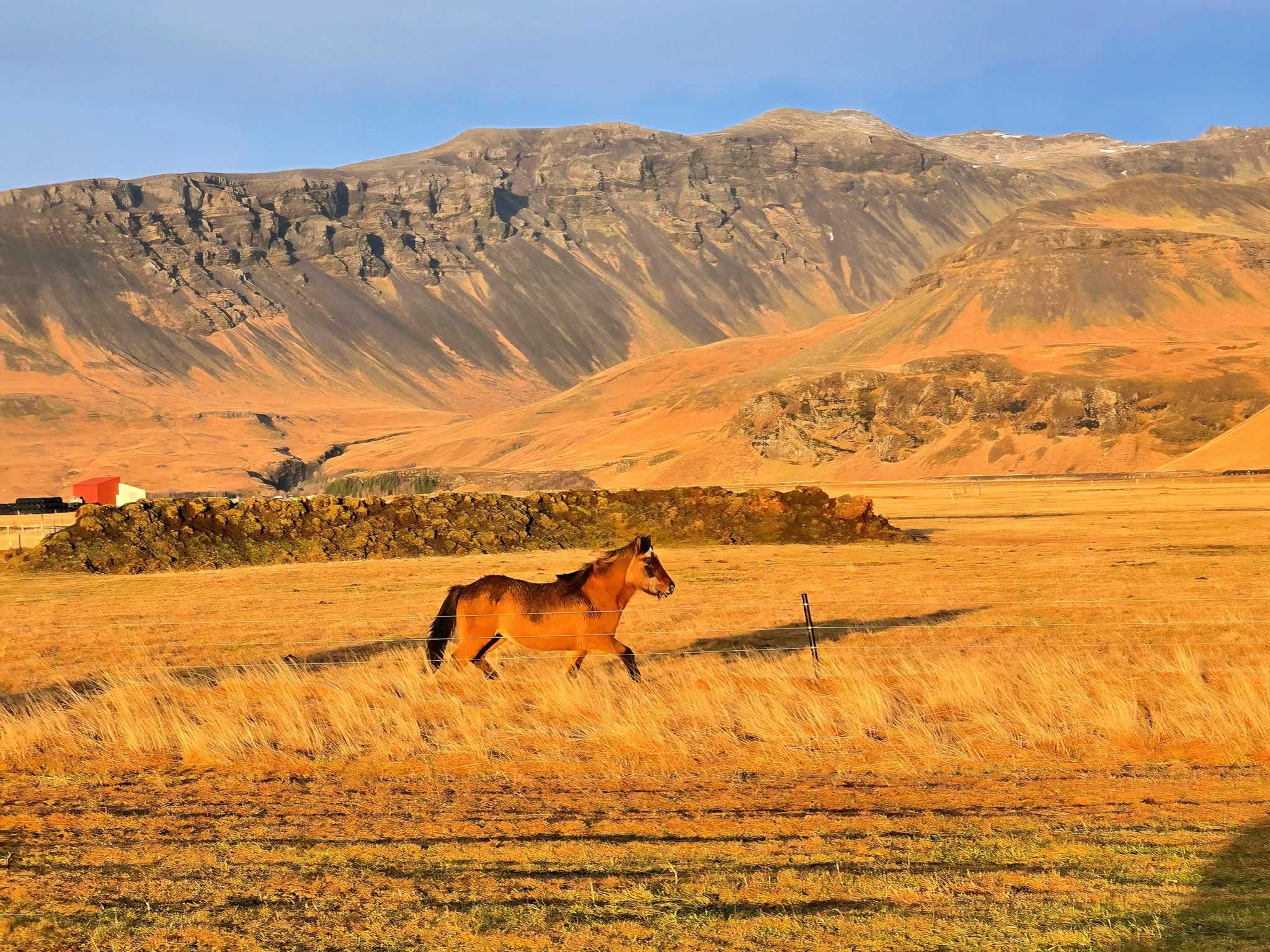 aurora-cabin-2025121317410728