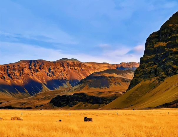 green-farm-stay-cabin-views