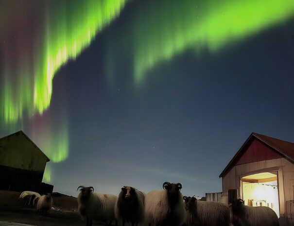 {"data":{"pictureId":"bc67e4d40255448d900a651db31a855d","appversion":"6.5.1","stickerId":"","filterId":"","infoStickerId":"","imageEffectId":"","playId":"","activityName":"","os":"android","product":"retouch","originAppId":"7356","exportType":"","editType":"","alias":"","enterFrom":"enter_launch","capability_key":["edit"],"capability_extra_v2":{"edit":[{"panel":"local_adjustment"},{"panel":"color_temperature"},{"panel":"shadow"},{"panel":"brightness"},{"panel":"hd_quality_picture"},{"panel":"hue"},{"panel":"contrast"}]},"effect_type":"tool","effect_id":"edit"},"source_type":"hypic","tiktok_developers_3p_anchor_params":"{"client_key":"awgvo7gzpeas2ho6","template_id":"","filter_id":[],"capability_key":["edit"],"capability_extra_v2":{"edit":[{"panel":"local_adjustment"},{"panel":"color_temperature"},{"panel":"shadow"},{"panel":"brightness"},{"panel":"hd_quality_picture"},{"panel":"hue"},{"panel":"contrast"}]}}"}