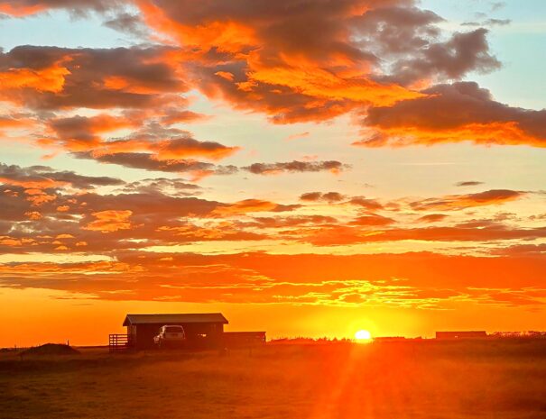 {"data":{"pictureId":"34f9848d61d840b4b5c511c5bb81ea82","appversion":"6.5.1","stickerId":"","filterId":"","infoStickerId":"","imageEffectId":"","playId":"","activityName":"","os":"android","product":"retouch","originAppId":"7356","exportType":"","editType":"","alias":"","enterFrom":"enter_launch","capability_key":["edit"],"capability_extra_v2":{"edit":[{"panel":"hd_quality_picture"},{"panel":"local_adjustment"},{"panel":"composition"},{"panel":"one_key_edit"}]},"effect_type":"tool","effect_id":"edit"},"source_type":"hypic","tiktok_developers_3p_anchor_params":"{"client_key":"awgvo7gzpeas2ho6","template_id":"","filter_id":[],"capability_key":["edit"],"capability_extra_v2":{"edit":[{"panel":"hd_quality_picture"},{"panel":"local_adjustment"},{"panel":"composition"},{"panel":"one_key_edit"}]}}"}