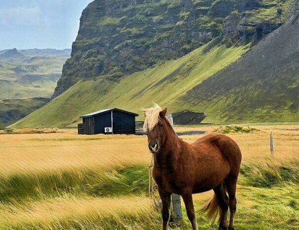 {"data":{"pictureId":"2331aa27e3234a52b49a9a09b4671c01","appversion":"6.5.1","stickerId":"","filterId":"","infoStickerId":"","imageEffectId":"","playId":"","activityName":"","os":"android","product":"retouch","originAppId":"7356","exportType":"","editType":"","alias":"","enterFrom":"enter_launch","capability_key":[],"capability_extra_v2":{"edit":[{"panel":"one_key_edit"}]},"effect_type":"tool","effect_id":"tool"},"source_type":"hypic","tiktok_developers_3p_anchor_params":"{"client_key":"awgvo7gzpeas2ho6","template_id":"","filter_id":[],"capability_key":[],"capability_extra_v2":{"edit":[{"panel":"one_key_edit"}]}}"}