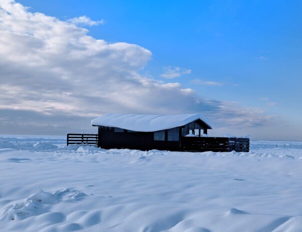 {"data":{"pictureId":"a68e357f882c468eb04ec72dbb11f729","appversion":"7.7.0","stickerId":"","filterId":"","infoStickerId":"","imageEffectId":"","playId":"","activityName":"","os":"android","product":"retouch","originAppId":"7356","exportType":"","editType":"","alias":"","enterFrom":"enter_launch","capability_key":["edit"],"capability_extra_v2":{"edit":[{"panel":"local_adjustment"},{"panel":"hsl"},{"panel":"clear_feeling"}]},"effect_type":"tool","effect_id":"edit"},"source_type":"hypic","tiktok_developers_3p_anchor_params":"{"client_key":"awgvo7gzpeas2ho6","template_id":"","filter_id":[],"capability_key":["edit"],"capability_extra_v2":{"edit":[{"panel":"local_adjustment"},{"panel":"hsl"},{"panel":"clear_feeling"}]}}"}