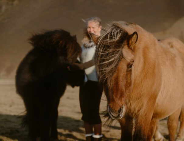 Southcoast Iceland Farm Stay holiday
