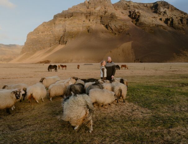 Family friendly wellness retreat with animals